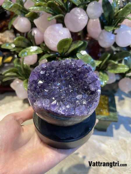 Mầm hoa tinh thể thạch anh tím - để bàn 970g