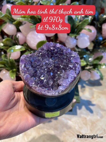 Mầm hoa tinh thể thạch anh tím - để bàn 970g