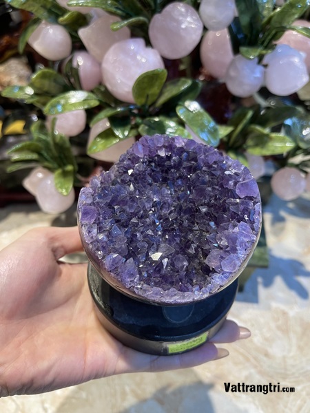 Mầm hoa tinh thể thạch anh tím - để bàn 970g