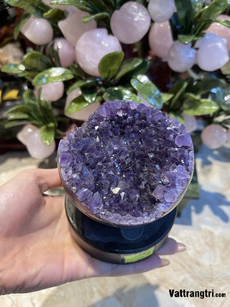 Mầm hoa tinh thể thạch anh tím - để bàn 970g