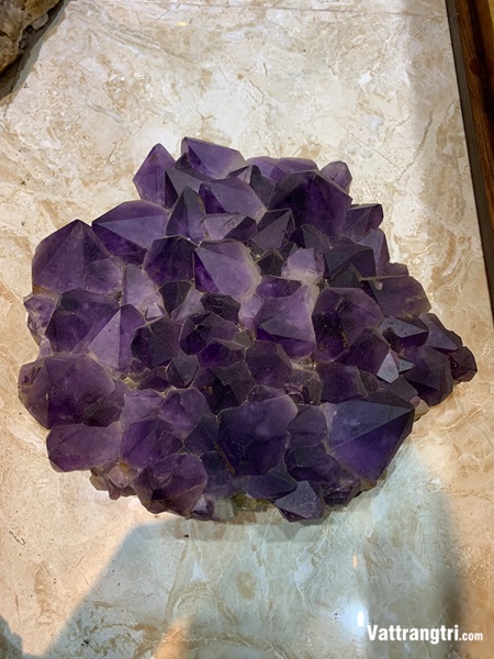 Mầm hoa tinh thể thạch anh tím vip 33cm