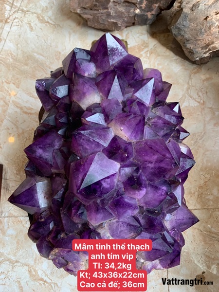 Mầm hoa tinh thể thạch anh tím vip 36cm