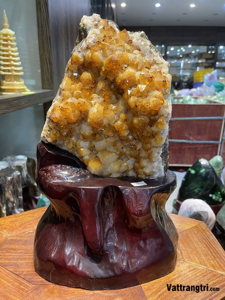 Mầm hoa tinh thể thạch anh vàng 40cm