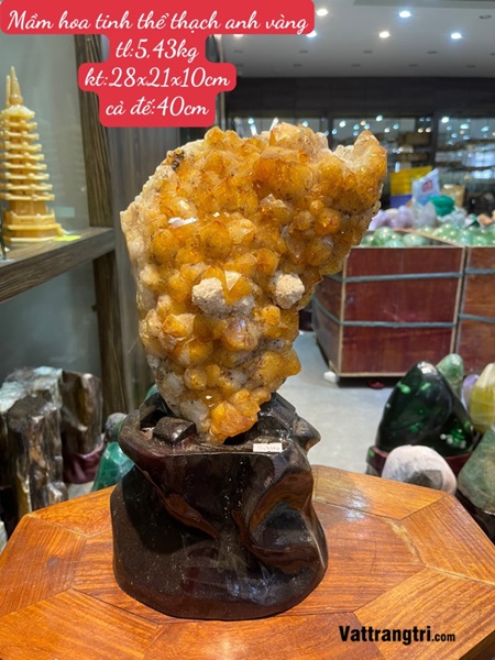 Mầm hoa tinh thể thạch anh vàng 40cm