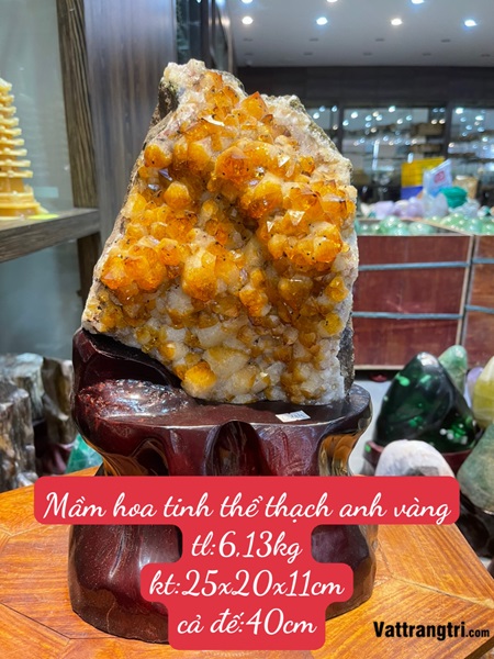 Mầm hoa tinh thể thạch anh vàng 40cm