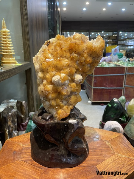 Mầm hoa tinh thể thạch anh vàng 40cm