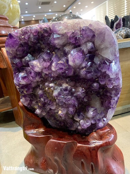 Mầm tinh thể đá thạch anh tím 50cm