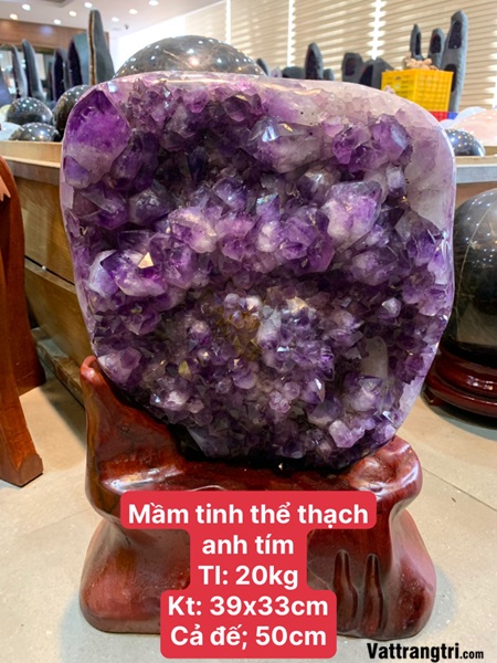 Mầm tinh thể đá thạch anh tím 50cm