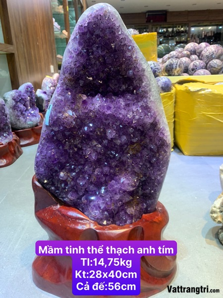 Mầm tinh thể đá thạch anh tím 56cm