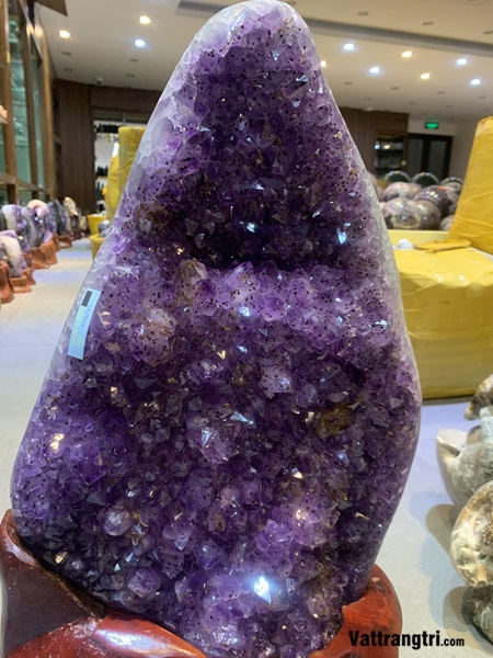 Mầm tinh thể đá thạch anh tím 56cm