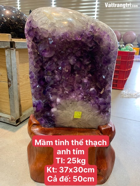 Mầm tinh thể đá thạch anh tím vip 50cm