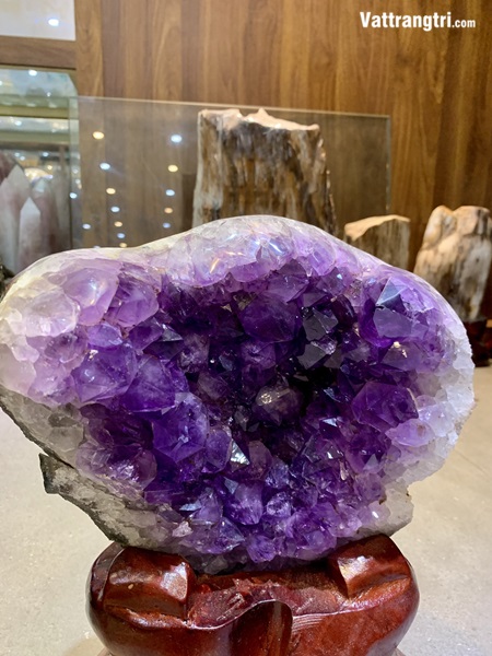 Mầm tinh thể thạch anh tím 35cm