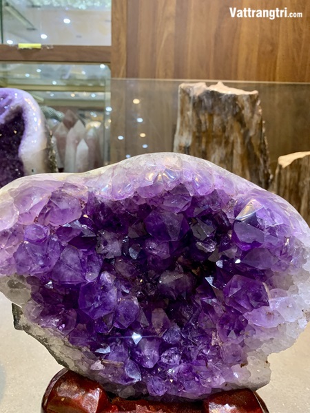 Mầm tinh thể thạch anh tím 35cm