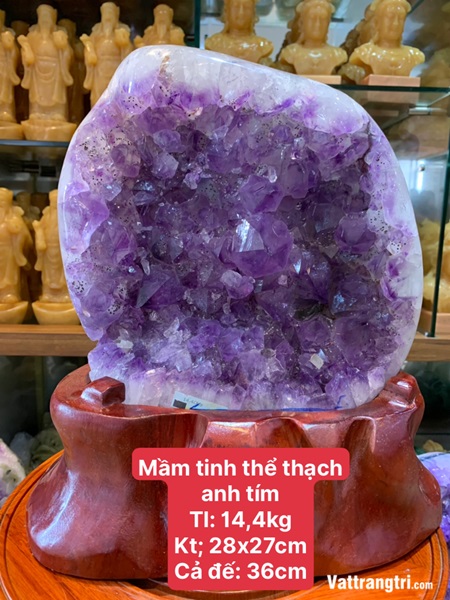 Mầm tinh thể thạch anh tím 36cm