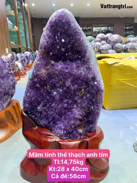 Mầm tinh thể thạch anh tím 40cm