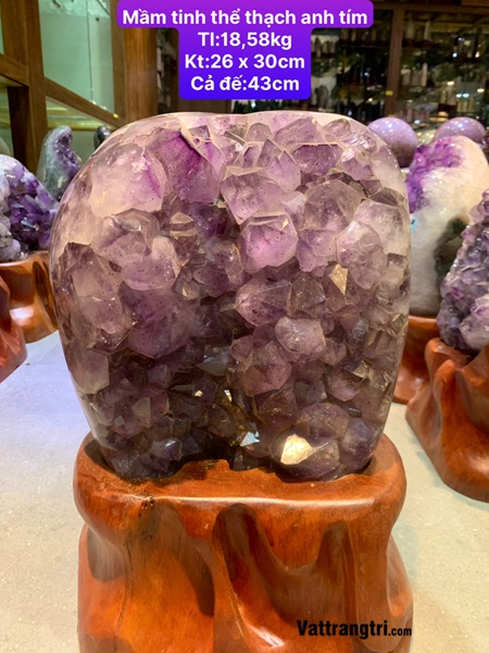 Mầm tinh thể thạch anh tím 43cm