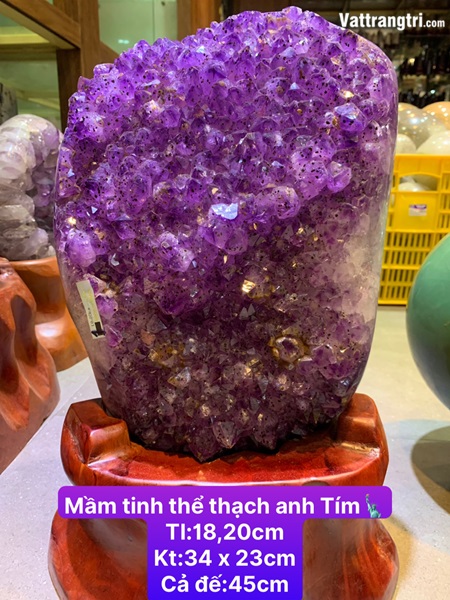 Mầm tinh thể thạch anh tím 45cm