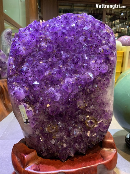 Mầm tinh thể thạch anh tím 45cm