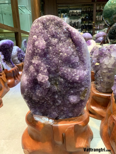 Mầm tinh thể thạch anh tím 55cm