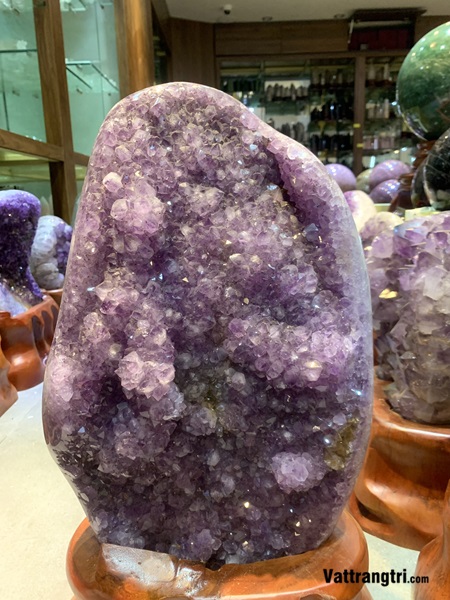 Mầm tinh thể thạch anh tím 55cm