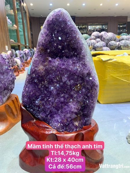 Mầm tinh thể thạch anh tím 56cm