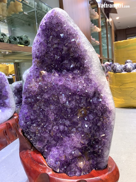 Mầm tinh thể thạch anh tím 56cm