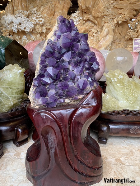 Mầm tinh thể thạch anh tím siêu lớn 103cm