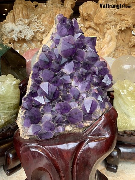 Mầm tinh thể thạch anh tím siêu lớn 103cm