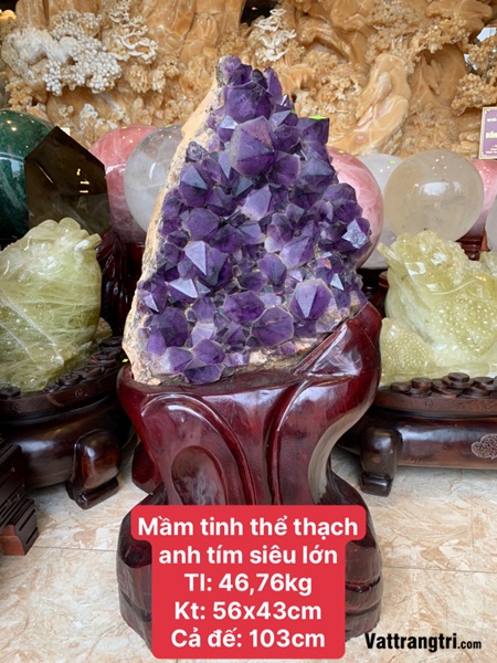 Mầm tinh thể thạch anh tím siêu lớn 103cm