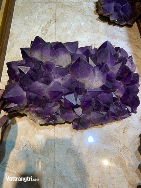 Mầm tinh thể thạch anh tím siêu vip 45cm