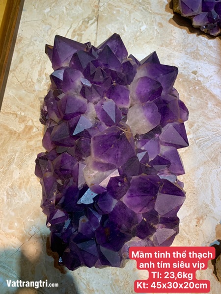 Mầm tinh thể thạch anh tím siêu vip 45cm