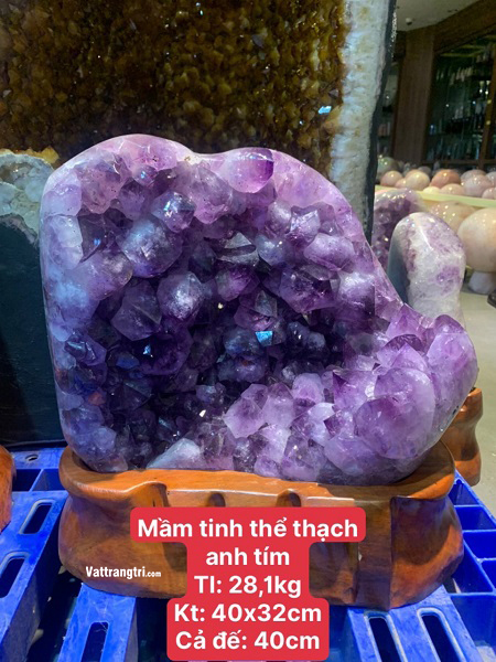 Mầm Tinh Thể Thạch Anh Tím Vip 28,1kg - Kèm Đế Gỗ