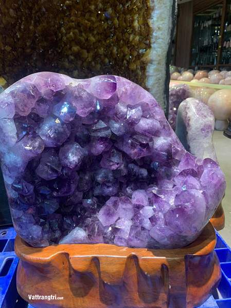 Mầm Tinh Thể Thạch Anh Tím Vip 28,1kg - Kèm Đế Gỗ