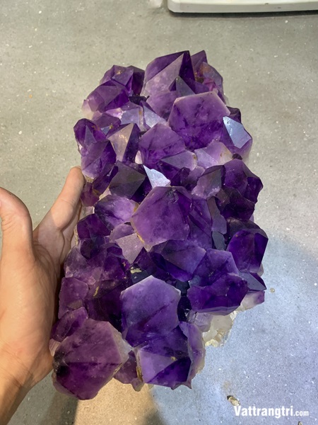 Mầm tinh thể thạch anh tím vip 36cm