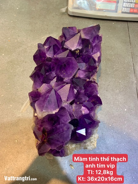 Mầm tinh thể thạch anh tím vip 36cm
