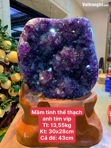 Mầm tinh thể thạch anh tím vip 43cm