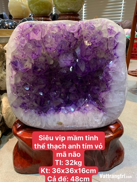 Mầm tinh thể thạch anh tím vỏ mã não siêu lớn 48cm