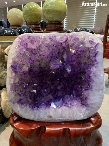 Mầm tinh thể thạch anh tím vỏ mã não siêu lớn 48cm