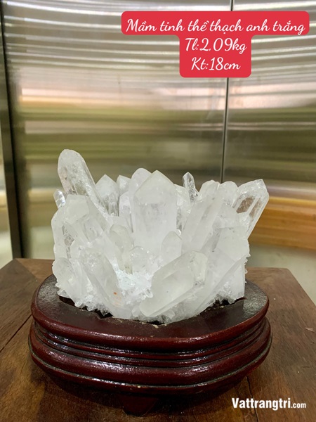 Mầm tinh thể thạch anh trắng 18cm