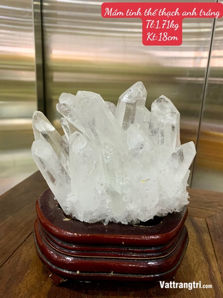 Mầm tinh thể thạch anh trắng 18cm