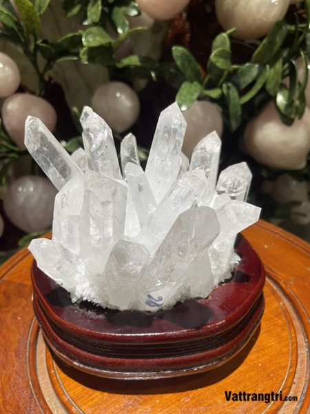 Mầm tinh thể thạch anh trắng 18cm