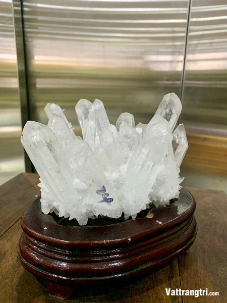 Mầm tinh thể thạch anh trắng 18cm