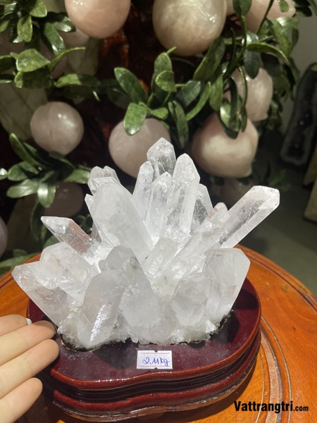 Mầm tinh thể thạch anh trắng 18cm