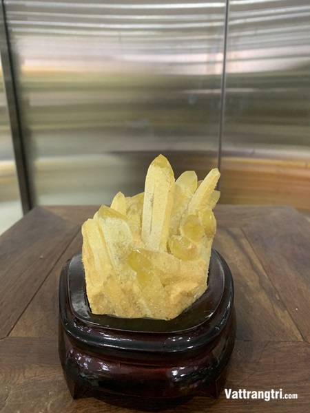 Mầm tinh thể thạch anh vàng 14cm