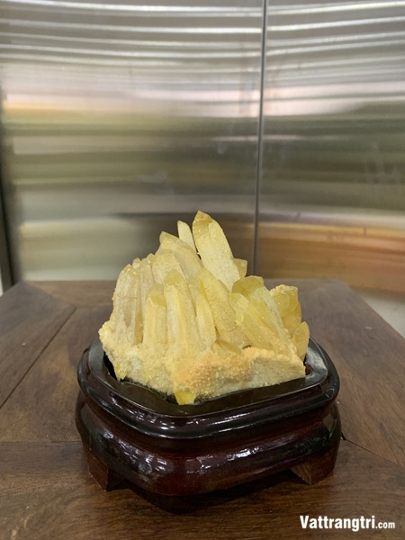 Mầm tinh thể thạch anh vàng 14cm