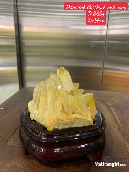 Mầm tinh thể thạch anh vàng 14cm