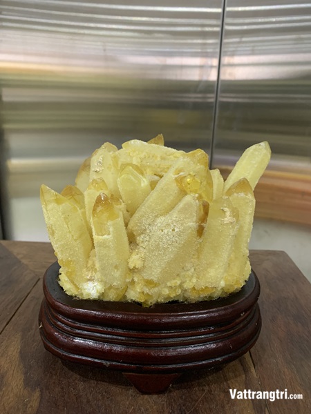 Mầm tinh thể thạch anh vàng 16cm