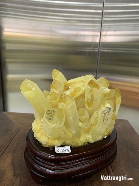 Mầm tinh thể thạch anh vàng 16cm
