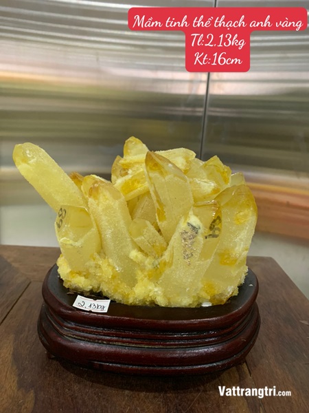Mầm tinh thể thạch anh vàng 16cm