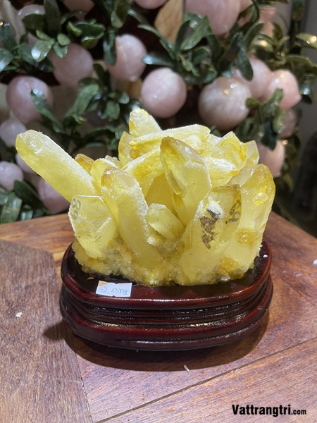 Mầm tinh thể thạch anh vàng 18cm